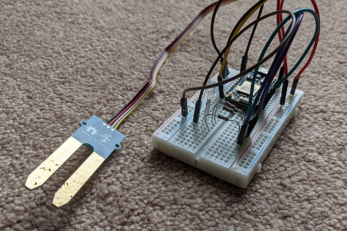 The prototype components: a Particle Photon, a breadboard, and a Grove moisture sensor probe