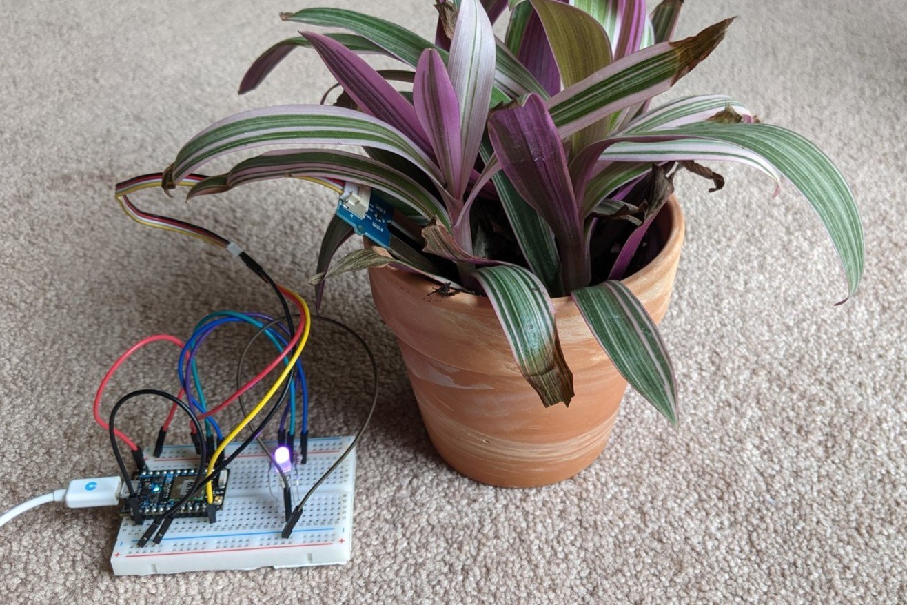 Breadboard prototype beside a potted plant, RGB LED lit violet to signal dry soil