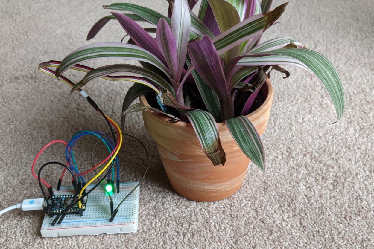 The same breadboard prototype beside the same plant, RGB LED lit green to signal moist soil